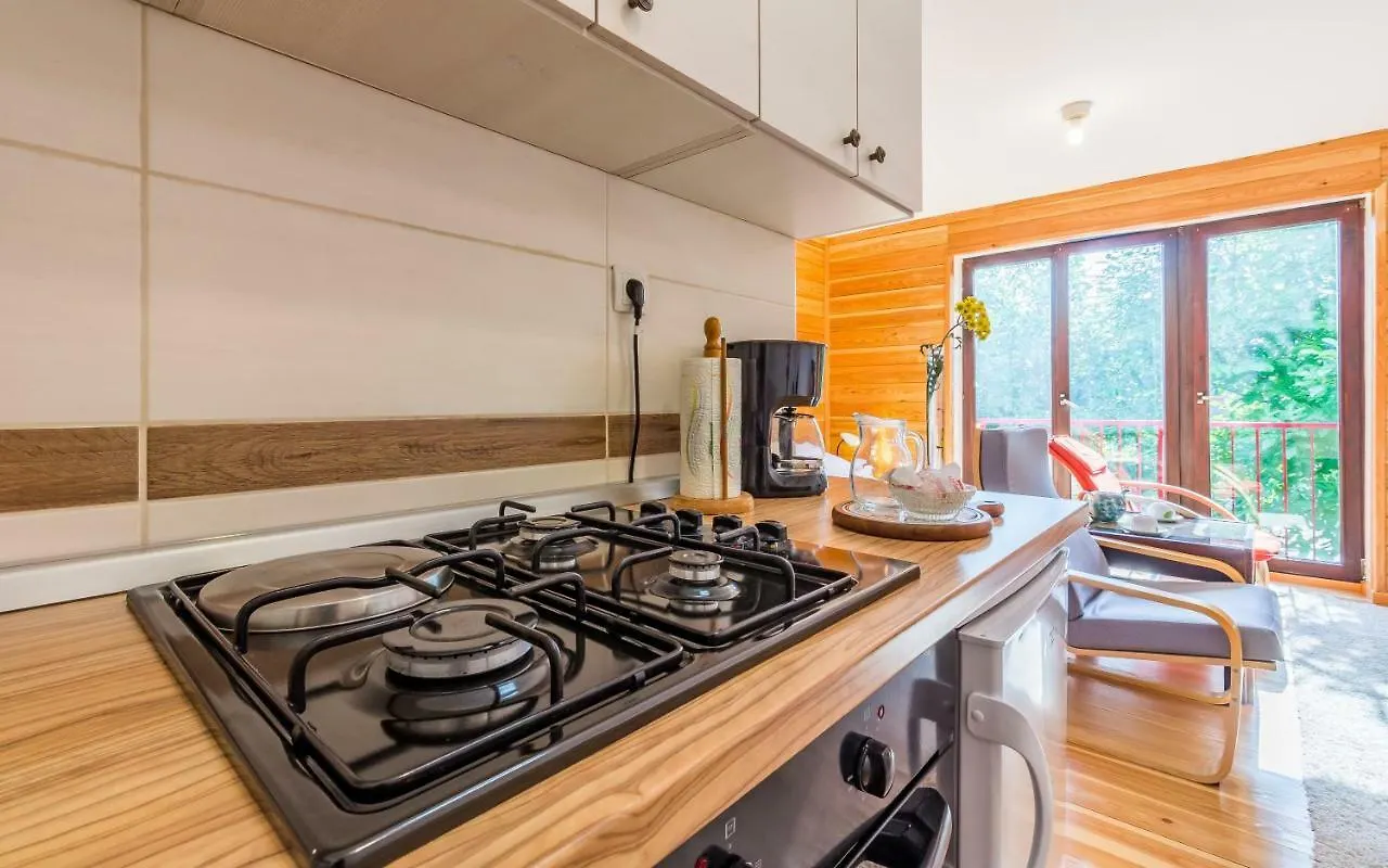 Studio Apartment Meden Pomer